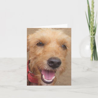 Amazon Humane Society "Pedro" Note Card