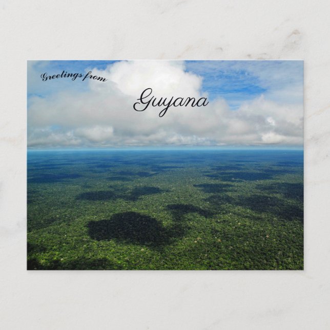 Amazon Rainforest in Guyana Postcard (Front)
