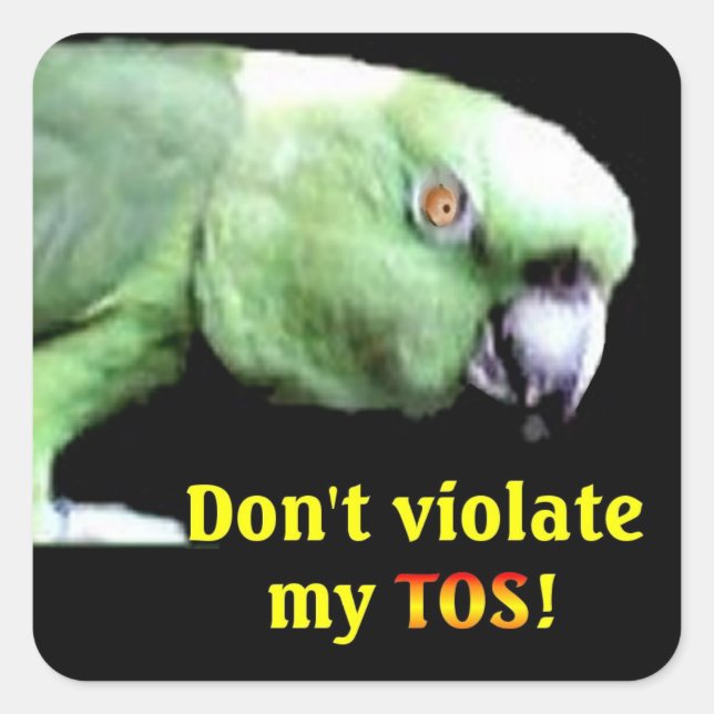 Amazon Square Stickers (Front)