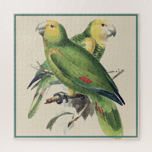 Amazona Parrots -  vintage birds Jigsaw Puzzle (Vertical)