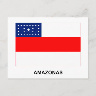 Amazonas, Brazil Flag Postcard