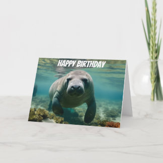 Amazonian Manatee swimming above amazon reef Card