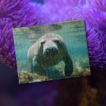 Amazonian Manatee swimming above reef.   Jigsaw Puzzle<br><div class="desc">This is an AI generated image. Its supposed toe be An Amazonian Manatee. And I wanted it to be swimming above an Amazon reef.</div>