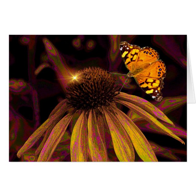 Amber  (Front Horizontal)