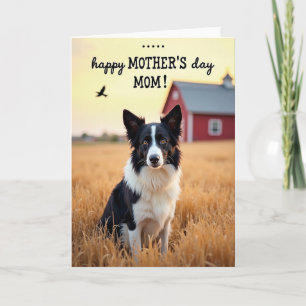 Amber Eyes Mothers Day Dog Card