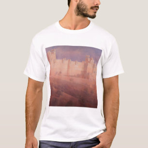 Amber Fort Jaipur T-Shirt