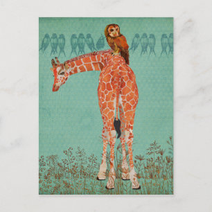 Amber Giraffe & Owl Feathers Postcard
