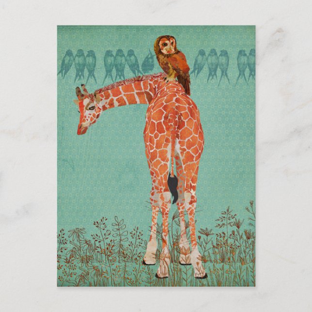 Amber Giraffe & Owl Feathers Postcard (Front)