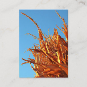 Amber Waves Enclosure Card