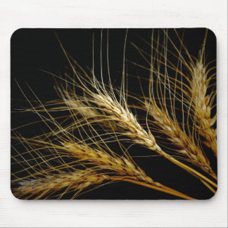 Amber Waves of Grain Wheat Mouse Mat