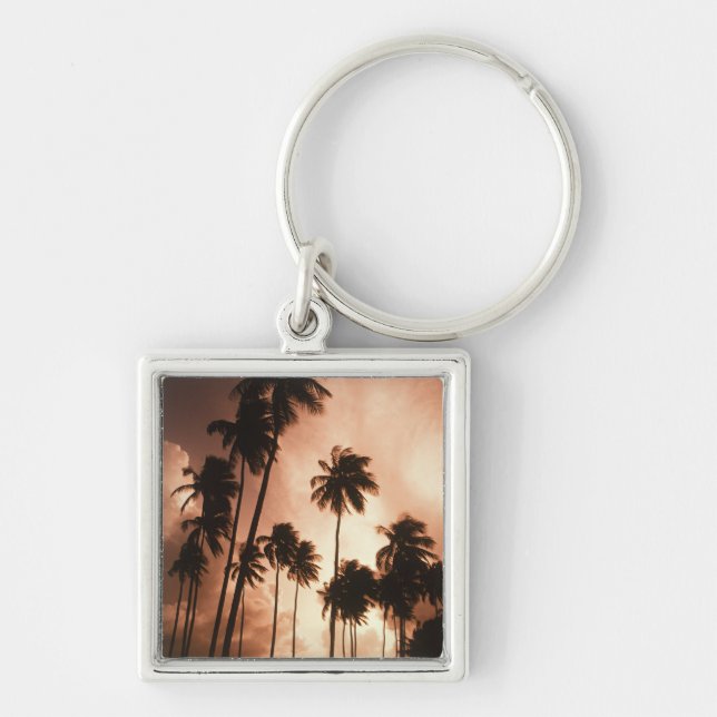 Ambergris Caye, Belise, Central America. 2 Key Ring (Front)