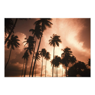 Ambergris Caye, Belise, Central America. 2 Photo Print