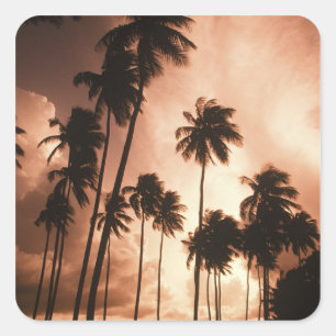 Ambergris Caye, Belise, Central America. 2 Square Sticker