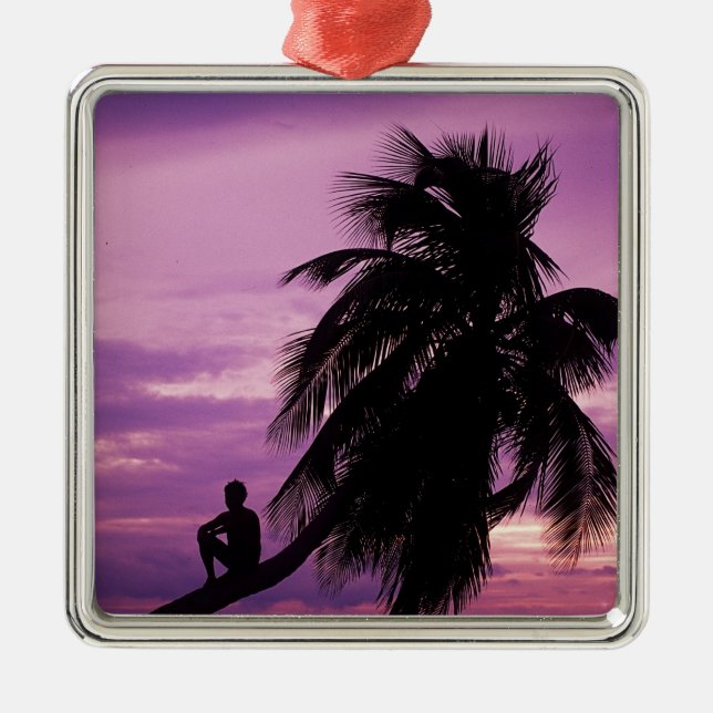 Ambergris Caye, Belise, Central America. Metal Tree Decoration (Front)