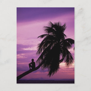 Ambergris Caye, Belise, Central America. Postcard