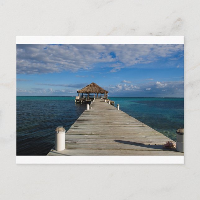 Ambergris Caye Belise Postcard (Front)