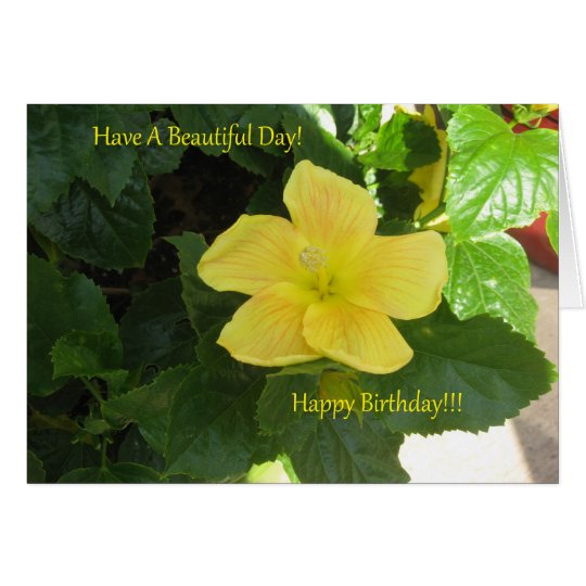 Ambers Yellow Hibiscus Birthday Card