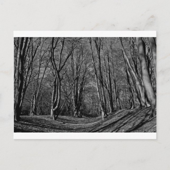 Ambresbury Banks Iron Age fortification Postcard (Front)