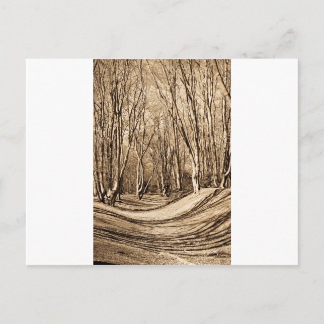 Ambresbury Banks Postcard (Front)