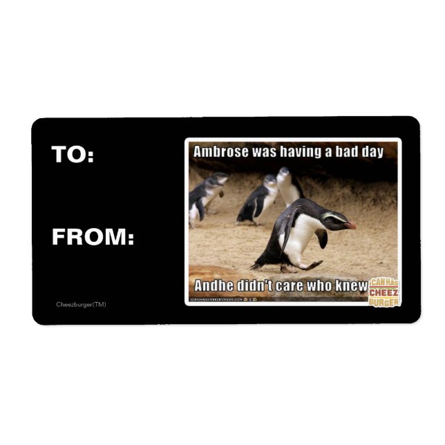 Ambrose was having a bad day (Front)