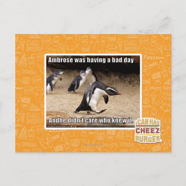 Ambrose was having a bad day postcard (Front)