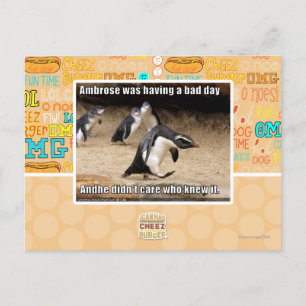 Ambrose was having a bad day postcard