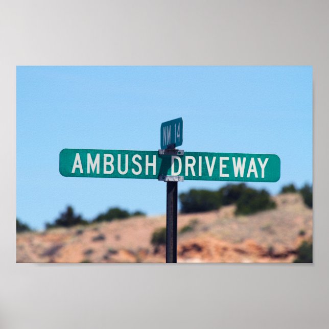 Ambush Driveway in New Mexico Poster (Front)