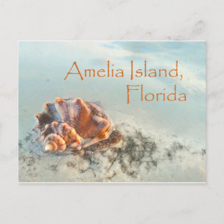 Amelia Island, FL Seashell Postcard