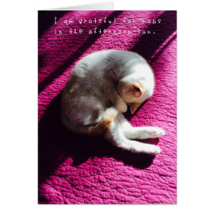 Amelia's Amazing Adventures Journal