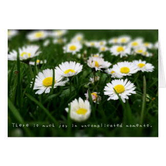 Amelia's Amazing Adventures Journal