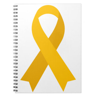 Amer Ribbon Appendix Cancer Pseudomyxoma Peritonei Notebook