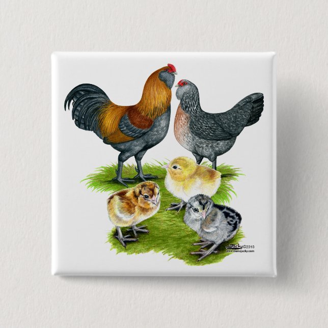 Ameraucana Chicken Family 15 Cm Square Badge (Front)