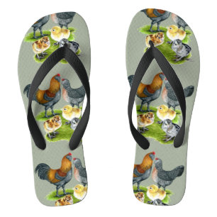 Ameraucana Chicken Family Flip Flops