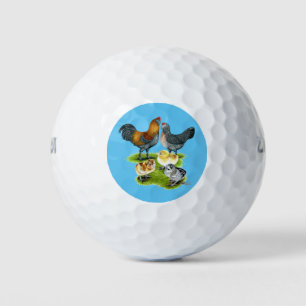 Ameraucana Chicken Family Golf Balls