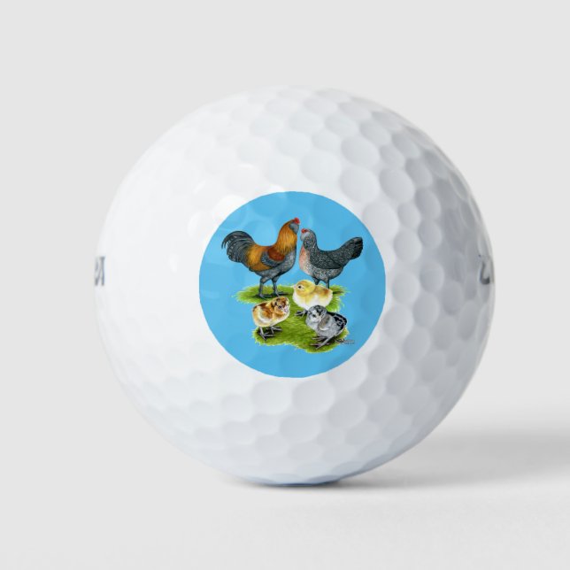 Ameraucana Chicken Family Golf Balls (Front)