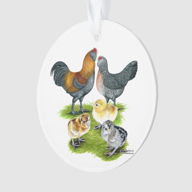Ameraucana Chicken Family Ornament (Front)