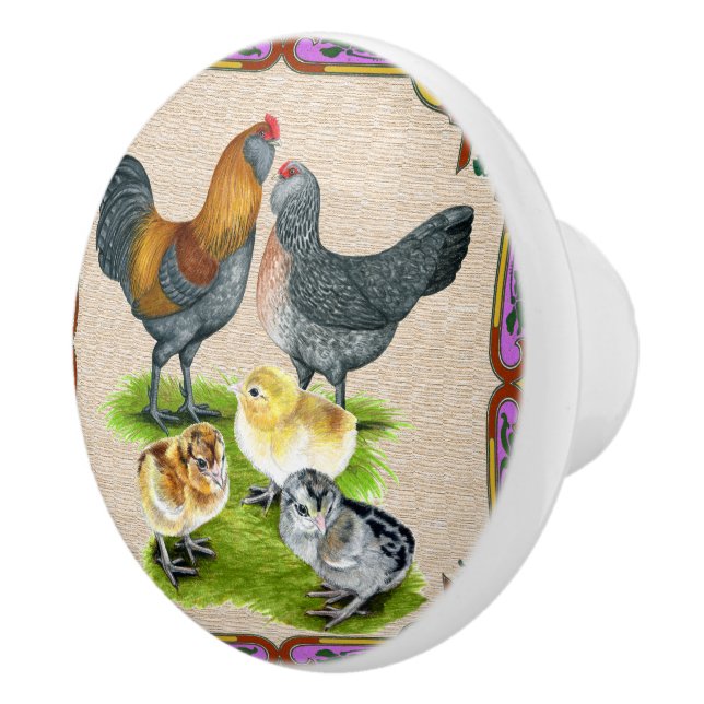 Ameraucana Family Framed Ceramic Knob (Right)