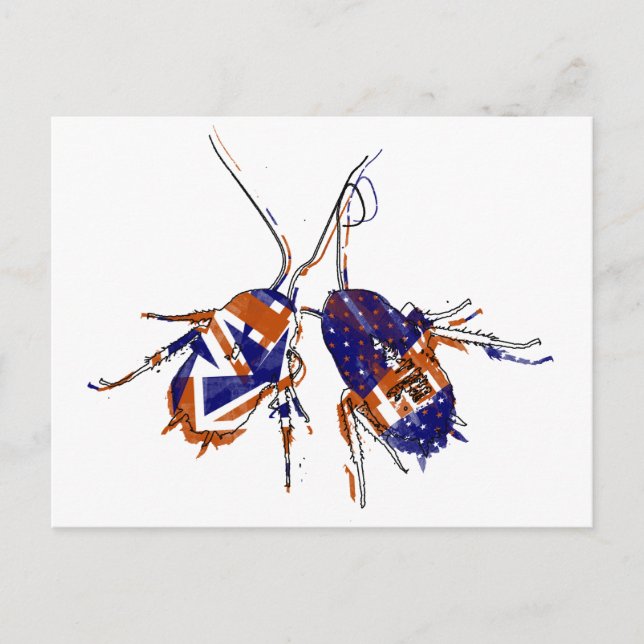 Ameri-Brit Cockroaches Postcard (Front)