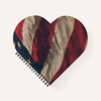 America 1
