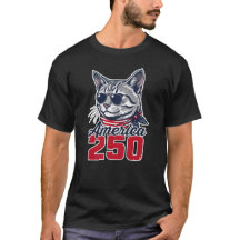 America 250 Cool Cat Patriotic 4th of July Cat