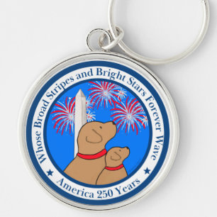 America 250 Special Edition DC  Key Ring