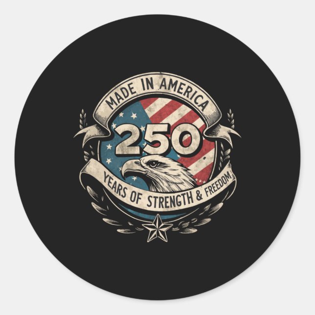 America 250th Birthday Us Flag 250 Years America L Classic Round Sticker (Front)