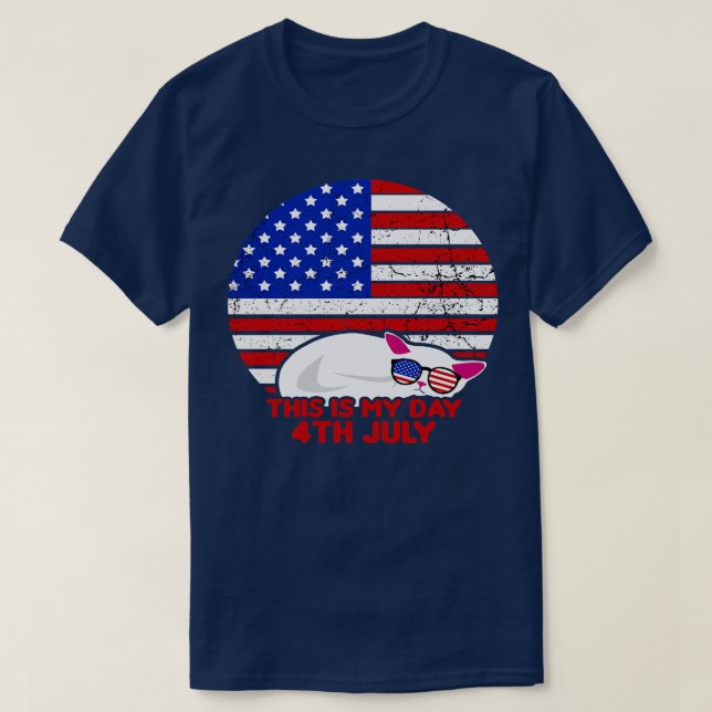 America 4th of July Patriotic holiday (30) T-Shirt (Design Front)