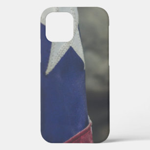 america 83 iPhone 12 case