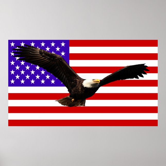America flag Bald Eagle USA Poster (Front)