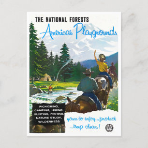 America National Forest vintage travel postcard