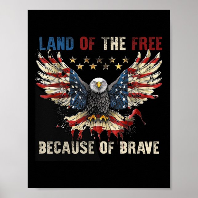 America Patriotic Eagle Land Of The Free Because O Poster (Front)