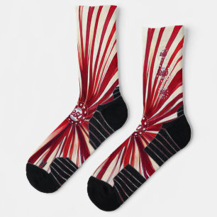 America’s 250th Birthday 1776-2026 RWB Fireworks Socks