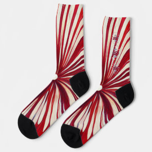 America’s 250th Birthday 1776-2026 RWB Fireworks Socks