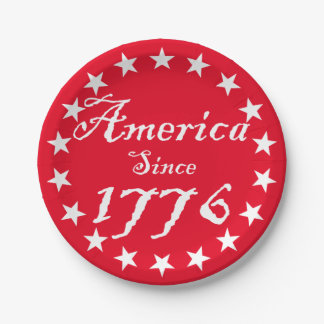 America Since 1776 Paper Plate